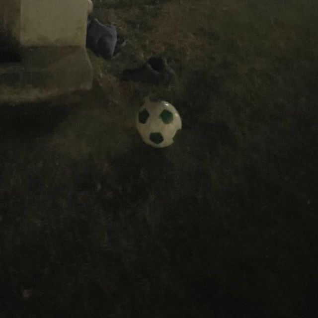 こはるさんの写メ日記