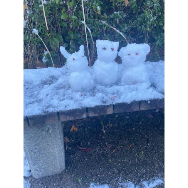 こはるさんの写メ日記