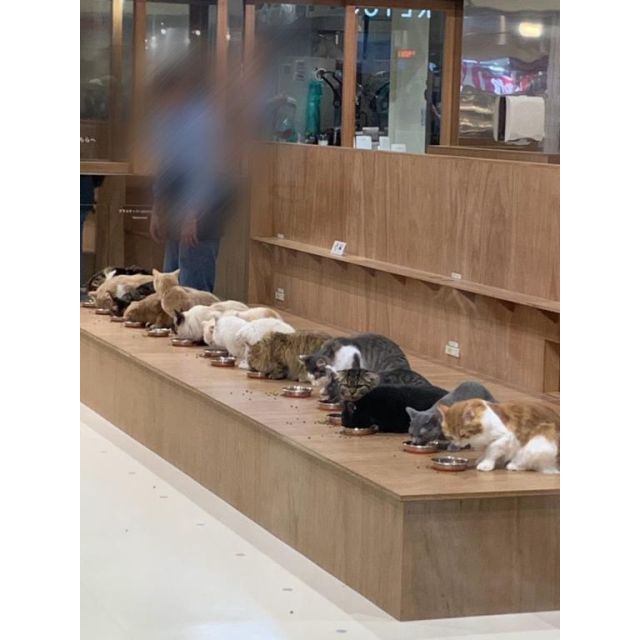 こはるさんの写メ日記