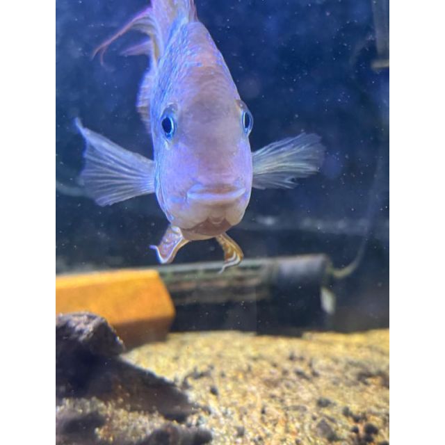 みなみさんの写メ日記