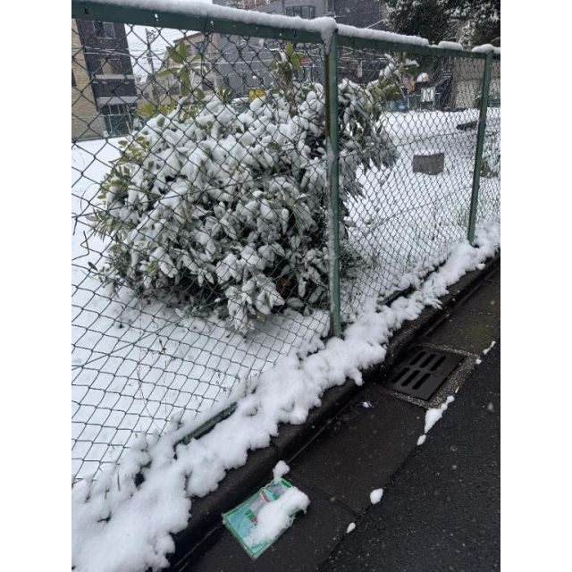 みなみさんの写メ日記