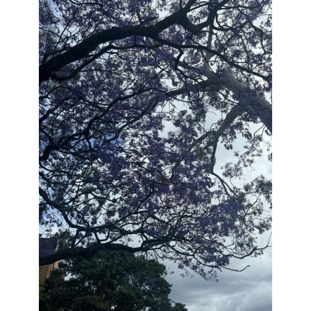 みなみさんの写メ日記