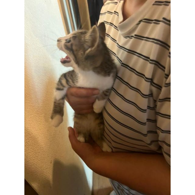 まありさんの写メ日記