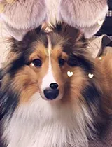 もかさんの写メ日記