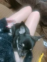 もかさんの写メ日記