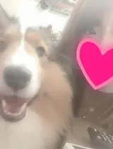 もかさんの写メ日記