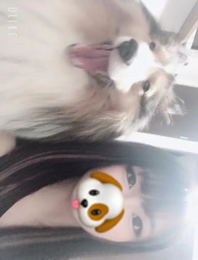 もかさんの写メ日記
