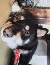 もかさんの写メ日記