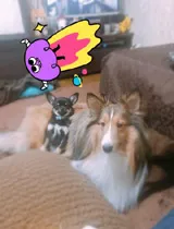 もかさんの写メ日記
