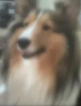 もかさんの写メ日記
