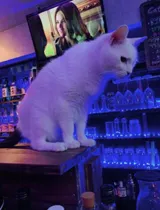 もかさんの写メ日記